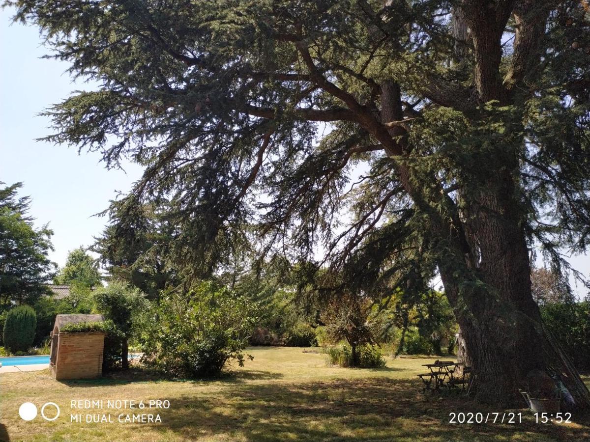La Maison De L'Oenologue Poucharramet Zewnętrze zdjęcie